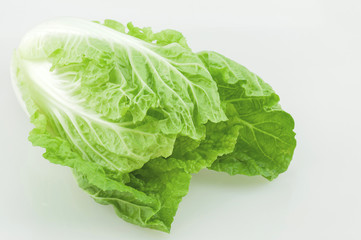 Chinese cabbage over white background