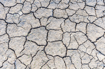 Cracked soil surface in dry season, gray tone texture background