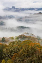 rolling misty hills in willamette valley
