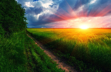 road in the field at sunset.