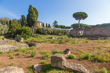 Rome, Italy. Hill Palatine: archaeological zone with the ruins of the palaces of the Roman emperors