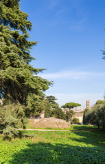Fototapeta na wymiar Rome, Italy. Ancient ruins in the gardens of Farnese on the Palatine Hill