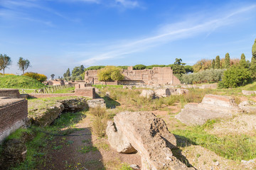 Fototapeta premium Rome, Italy. Ruins of ancient imperial palaces on the Palatine Hill