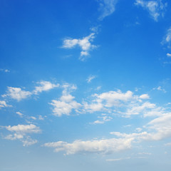 Cirrus clouds against a blue sky.