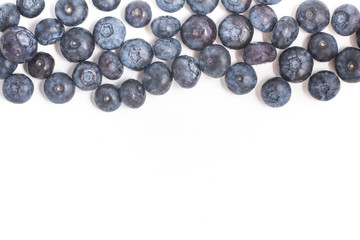 Fresh Blueberries Frame