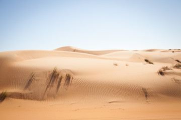 Fototapeta na wymiar feel of loneliness in desert