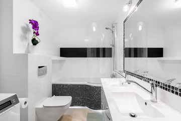 Modern bathroom interior