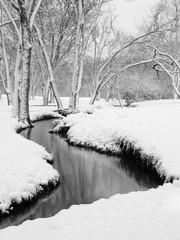 River Through the Forest in Winter