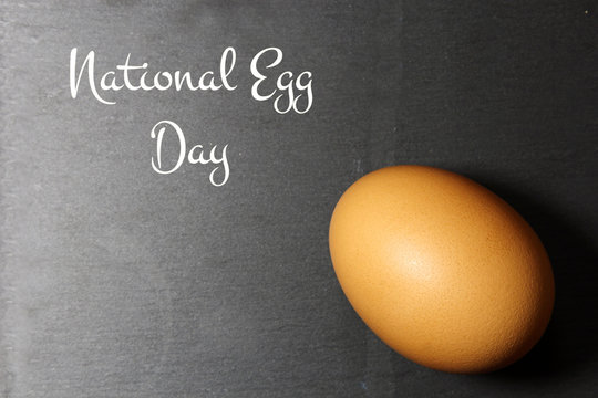 Brown egg on black with text National Egg Day