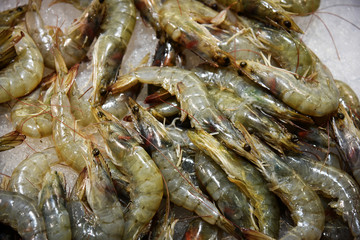 Tray with tiger shrimps .