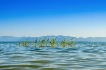 Tuinposter Prespa Lake, Macedonia © Jove