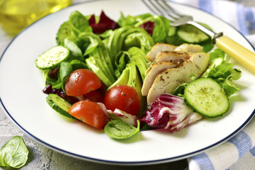 Fresh green salad with grilled chicken.