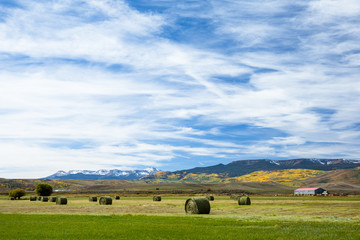 Obraz premium Recently harvested hay bales on farmland in Colorado