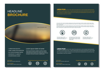 Template layout for annual report brochure flyer vector