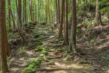 松本峠　熊野古道