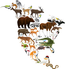 Fototapeta premium animals North America - vector illustration