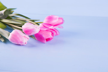 Obraz na płótnie Canvas Bouquet of tender pink tulips on blue wooden background