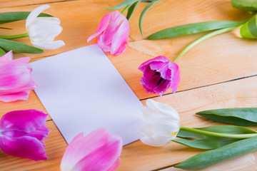 Bouquet of tender pink tulips with sheet of paper on light wooden background