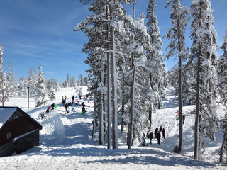 Deep snow pack at Sierra Nevada