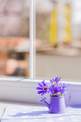 Fototapeta na wymiar Little watering can with spring flowers bouquet near the window