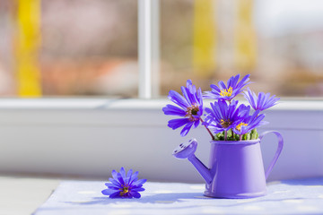 Fototapeta na wymiar Little watering can with spring flowers bouquet near the window