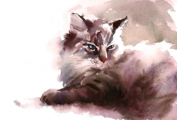 Watercolor Cat Laying Down Hand Drawn Pet Portrait Illustration 