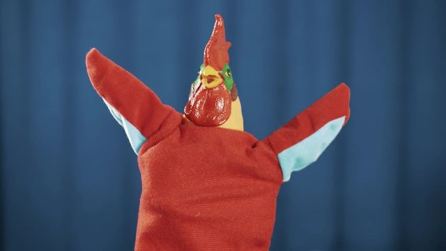 Rooster red hand puppet toy waving, look around and bows to audience on blue crease curtains background on scene