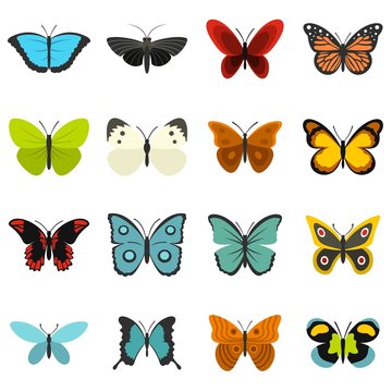 Butterfly set flat icons