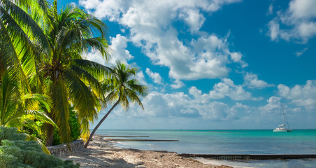 One of Rum Point's beaches on the North of Grand Cayman with a Catamaran on the Caribbean Sea , Cayman Islands - 139015382