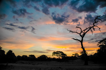 Fototapeta na wymiar Landscape in Africa
