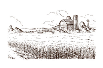 Fototapeta premium Hand drawn vector illustration sketch rural landscape field house granary