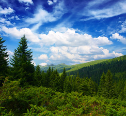 Obraz premium Balkan Mountains