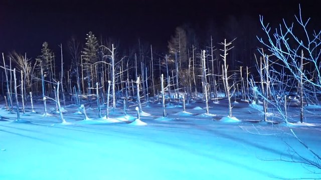 Blue pond illumination light up in winter night at Biei, Hokkaido, Japan.  During the winter when the pond is frozen, it is lighting up at night.