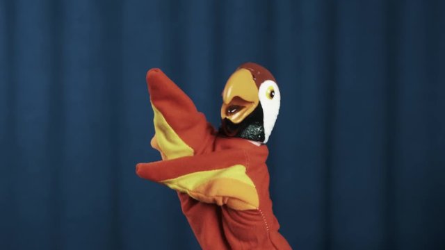 Orange parrot hand puppet toy rubbing and spread arms wide, waving on scene with blue crease curtains background