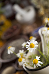 Natural medicine, herbs, mortar on wooden table background