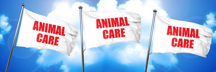 animal care, 3D rendering, triple flags