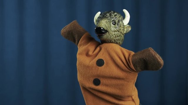 Bull in orange shirt hand puppet wave, brake dancing and shake head on scene with blue crease curtains background