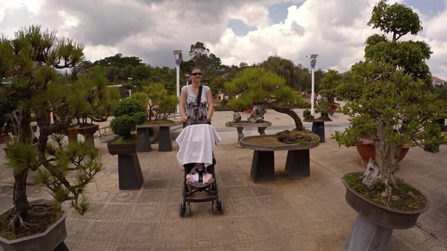 Mother pushes stroller between elaborate bonsai trees at Flower Garden Park