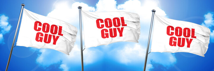 cool guy, 3D rendering, triple flags