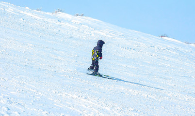 Fototapeta na wymiar mountain-skier