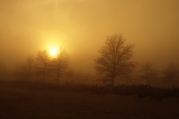 Walnut Beach in the Fog
