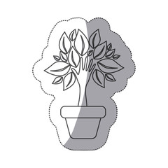 silhouette tree with leaves inside flower pot, vector illustraction design