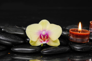 still life with yellow orchid and candle on black stones 