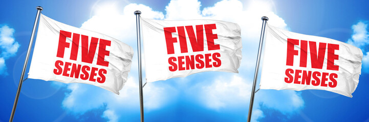 five senses, 3D rendering, triple flags