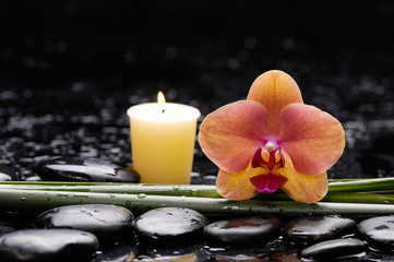 Fototapeta na wymiar spa concept –orange orchid and long leaf ,candle