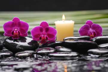 spa concept –red orchid and green leaf ,candle