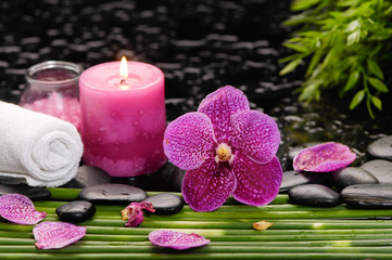 tranquil spa scene- pink orchid with black stones with candle ,oil green plant