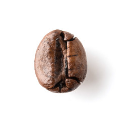 coffee beans isolated