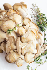 oyster mushrooms and thyme.