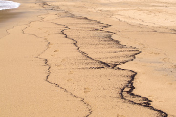wet sand with tidal debris and water